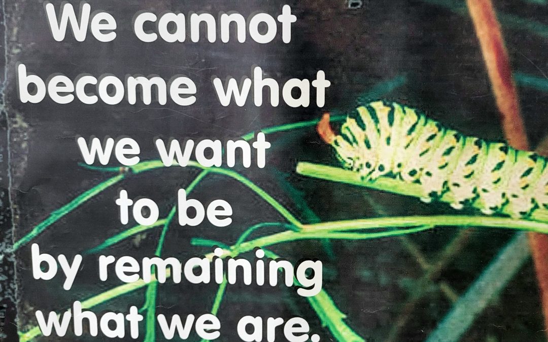 Who is your role-model? Re-discover your roots.